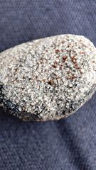 Xanthocarpia marmorata