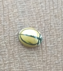 Cheilomenes propinqua vicina