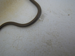 Aprasia striolata