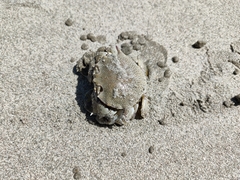 Matuta