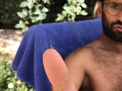 Ameles spallanzania