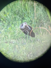 Image Associated With the Occurrence