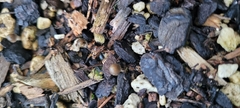 Psilocybe angulospora