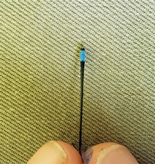 Enallagma divagans