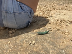 Podarcis pityusensis formenterae