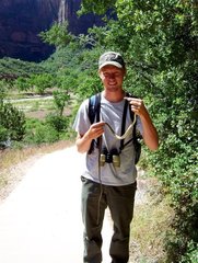 Masticophis taeniatus taeniatus