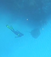 Bathytoshia centroura