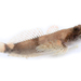 Freshwater Sculpins - Photo (c) Brian Gratwicke, some rights reserved (CC BY)