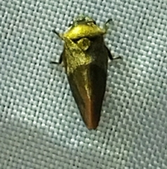 Drabescus