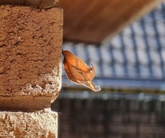 Precis tugela tugela