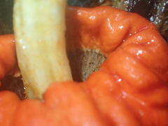 Leratiomyces erythrocephalus