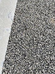 Anadenobolus monilicornis