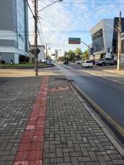 Pardirallus maculatus