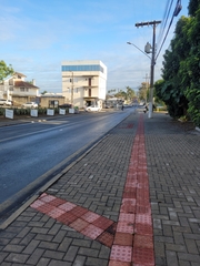 Pardirallus maculatus