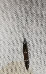 Athripsodes albifrons