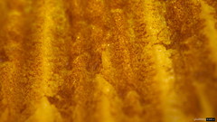 Bolbitius variicolor