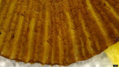 Bolbitius variicolor