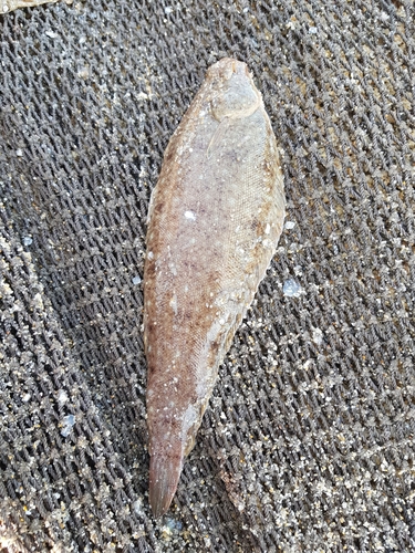 Wedge Sole