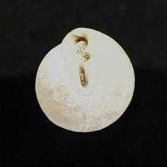 Stenotrema pilula