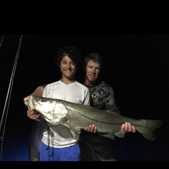 Centropomus undecimalis