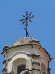 Haemorhous mexicanus