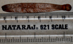 Ventilago