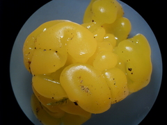 Dacrymyces deliquescens