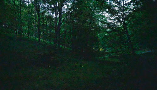Blue Ghost photo 4