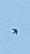Apodidae