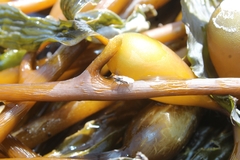 Coelopidae