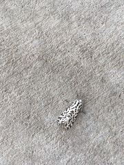 Hypercompe permaculata