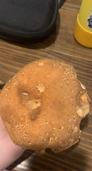 Boletus variipes