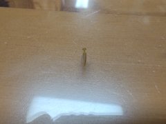 Maccaffertium mediopunctatum