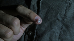 Phyllomorpha laciniata