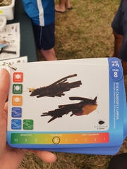 Triplectides dolichos