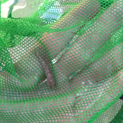 Pomatoschistus microps