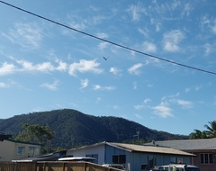 Calyptorhynchus banksii