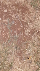 Rhynchocalamus melanocephalus