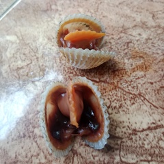 Tegillarca granosa