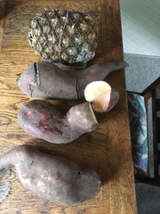 Smallanthus sonchifolius