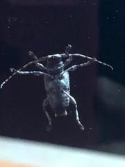 Aegomorphus jaspideus
