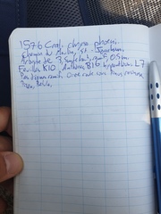 Crataegus chrysocarpa phoeniceoides