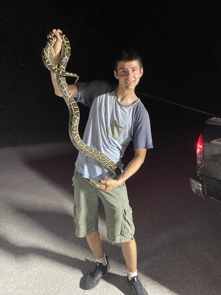 Burmese Python from Big Cypress, Ochopee, FL, US on June 08, 2022 at 10 ...