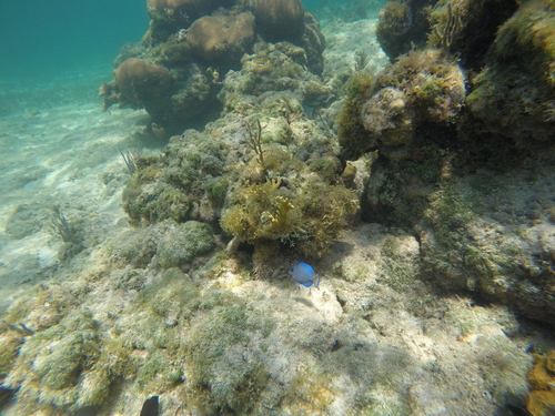 Cayo San Vicente