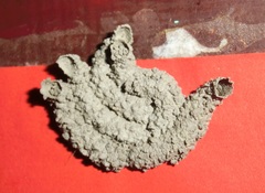 Paraleptomenes miniatus