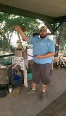 Pantherophis bairdi