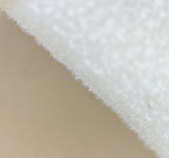 Inocybe margaritispora