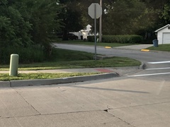 Odocoileus virginianus