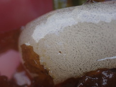 Aglaja ocelligera