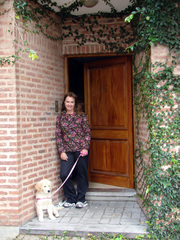 Canis familiaris